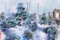 Noël chez Barbe bleue